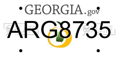 ARG8735 Georgia License Plate