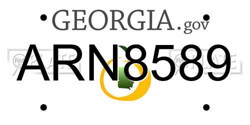 ARN8589 Georgia License Plate