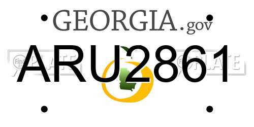 ARU2861 Georgia License Plate