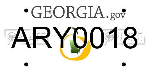 ARY0018 Georgia License Plate