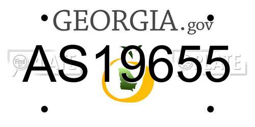 AS19655 Georgia License Plate