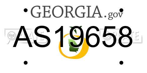 AS19658 Georgia License Plate