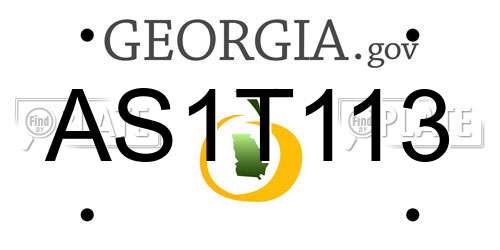 AS1T113 Georgia License Plate
