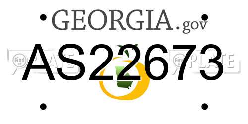 AS22673 Georgia License Plate