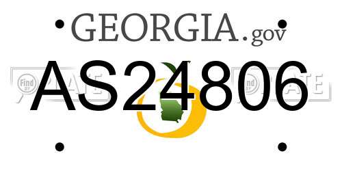 AS24806 Georgia License Plate