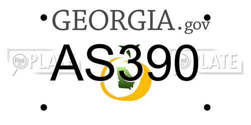 AS390 Georgia License Plate