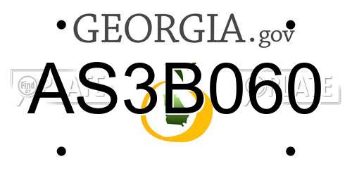AS3B060 Georgia License Plate