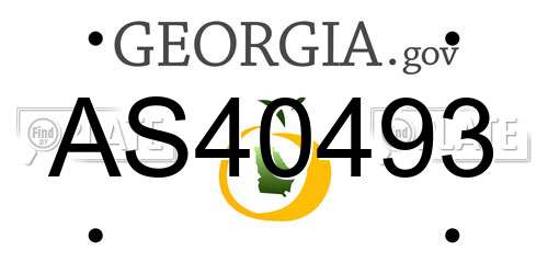 AS40493 Georgia License Plate