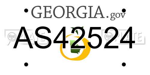 AS42524 Georgia License Plate