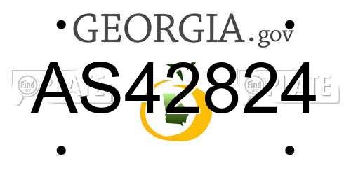 AS42824 Georgia License Plate
