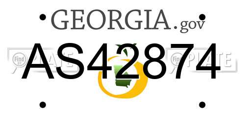 AS42874 Georgia License Plate