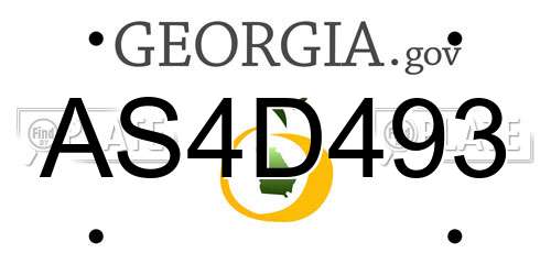 AS4D493 Georgia License Plate