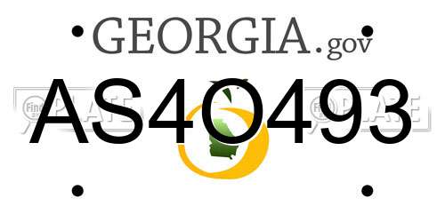 AS4O493 Georgia License Plate