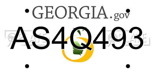 AS4Q493 Georgia License Plate