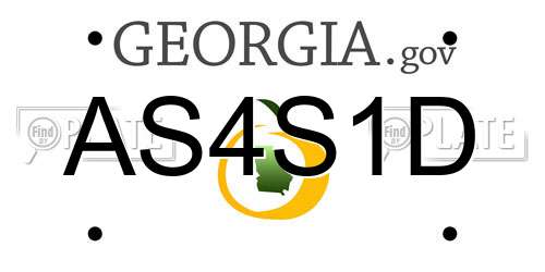 AS4S1D Georgia License Plate