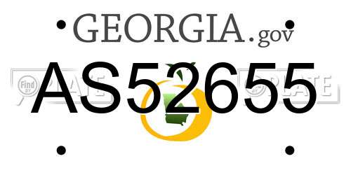 AS52655 Georgia License Plate
