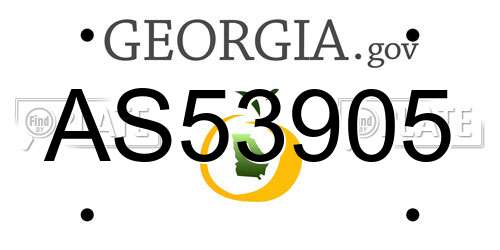 AS53905 Georgia License Plate