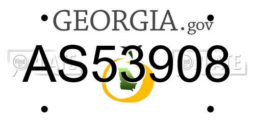 AS53908 Georgia License Plate