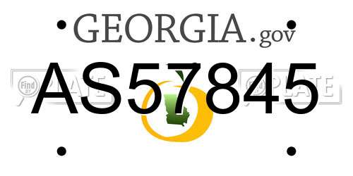AS57845 Georgia License Plate