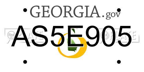 AS5E905 Georgia License Plate