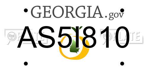 AS5I810 Georgia License Plate