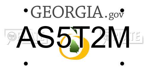 AS5T2M Georgia License Plate