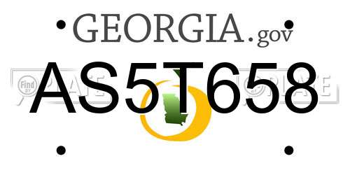 AS5T658 Georgia License Plate