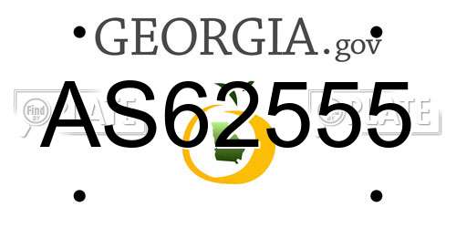 AS62555 Georgia License Plate