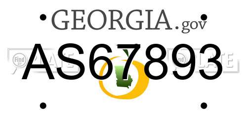 AS67893 Georgia License Plate