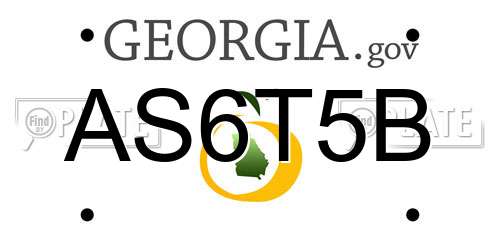 AS6T5B Georgia License Plate