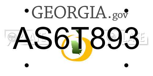AS6T893 Georgia License Plate