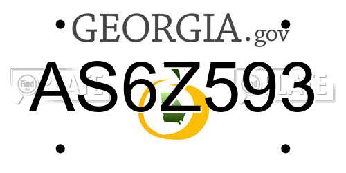 AS6Z593 Georgia License Plate