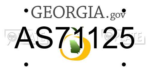 AS71125 Georgia License Plate