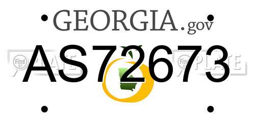 AS72673 Georgia License Plate