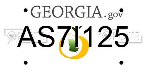 AS7I125 Georgia License Plate