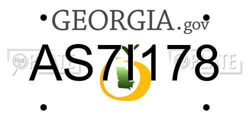 AS7I178 Georgia License Plate
