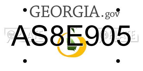 AS8E905 Georgia License Plate