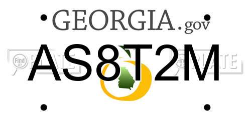 AS8T2M Georgia License Plate