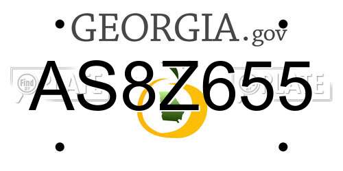AS8Z655 Georgia License Plate