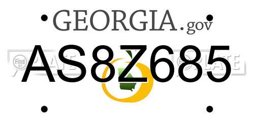 AS8Z685 Georgia License Plate