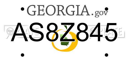 AS8Z845 Georgia License Plate