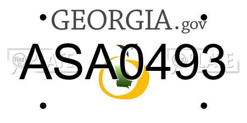 ASA0493 Georgia License Plate