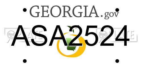 ASA2524 Georgia License Plate