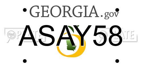 ASAY58 Georgia License Plate
