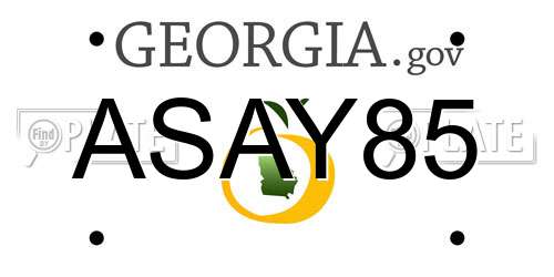 ASAY85 Georgia License Plate