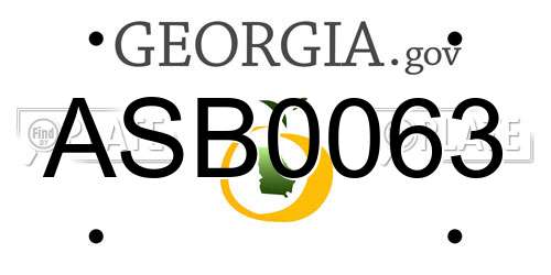 ASB0063 Georgia License Plate