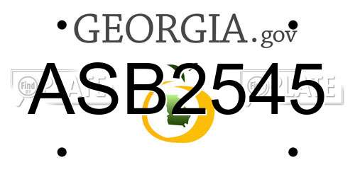 ASB2545 Georgia License Plate