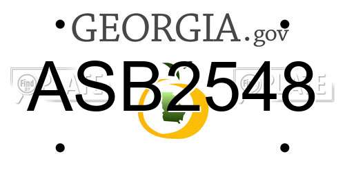 ASB2548 Georgia License Plate