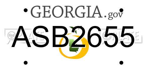 ASB2655 Georgia License Plate