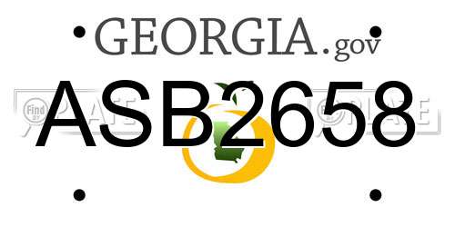 ASB2658 Georgia License Plate